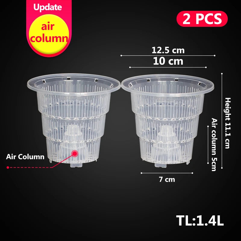 Pots plante transparents modernes perforés drainants 10cm fleur verteintérieur