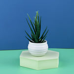 petite plante artificielle aloes pot blanc décoration moderne fleurs fausses vertes
