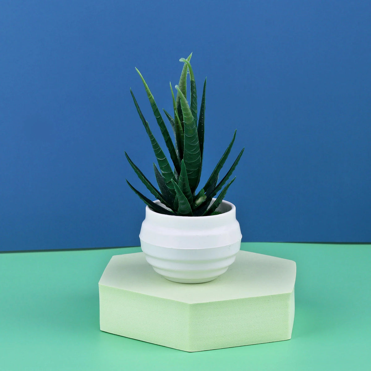 petite plante artificielle aloes pot blanc décoration moderne fleurs fausses vertes