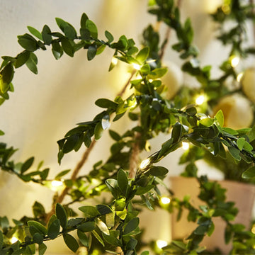 guirlande lumineuse feuilles vertes petites lumières blanches naturel décoratif 10m 5m 3m 2m