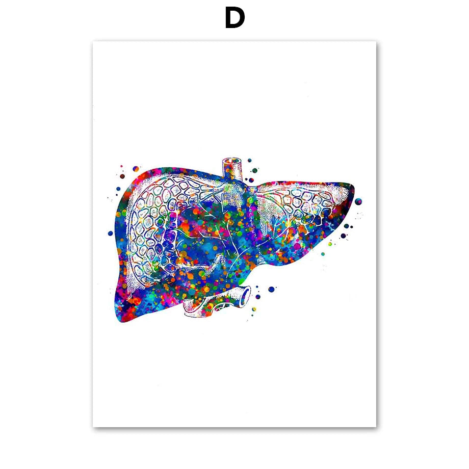 Un foie humain coloré et abstrait, représenté de manière artistique avec des éclaboussures de couleurs vives.