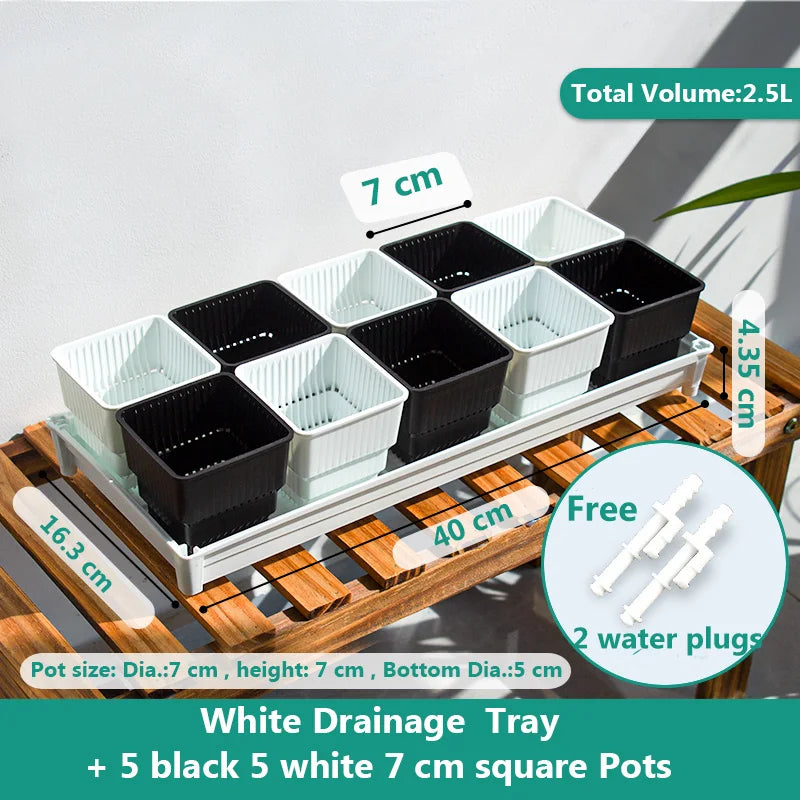 bac semis autoévacuant moderne blanc noir drainage pratique transparent pots bacs écoulement