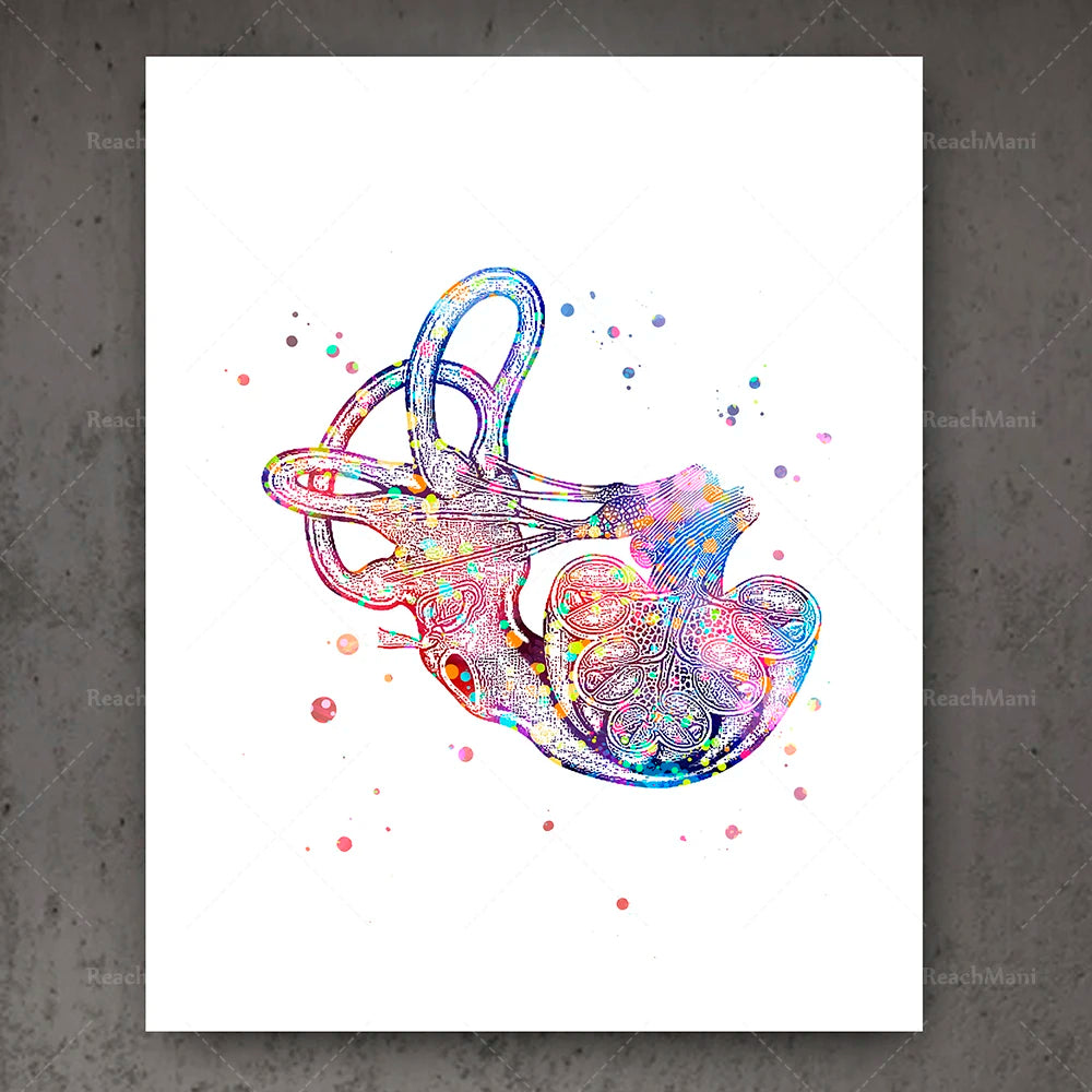 Cette illustration colorée et abstraite représente un objet doux et familier, une sucette. Les formes, les couleurs et les effets graphiques donnent une impression de dynamisme et de joie.