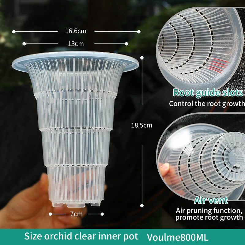 pot transparent moderne air pruning racines orchidées décoration maison fleur plante verte sans fini