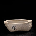 Pot bonsaï céramique artisanal motif calligraphique fleur verte rustique.texture grungy