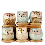 pots céramique fleurs chouette tête oiseau couleur variée texture artistique succulente
