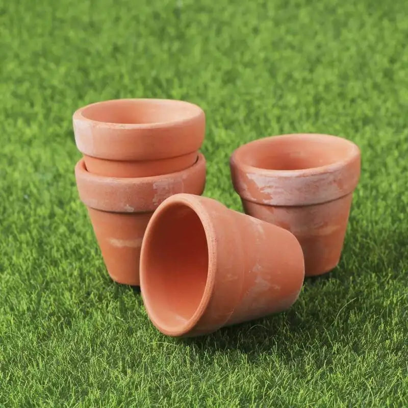 pots fleurs orange terracotta classiques non enduits drainage plante cactus succulente fleur verteoutil jardincteresse