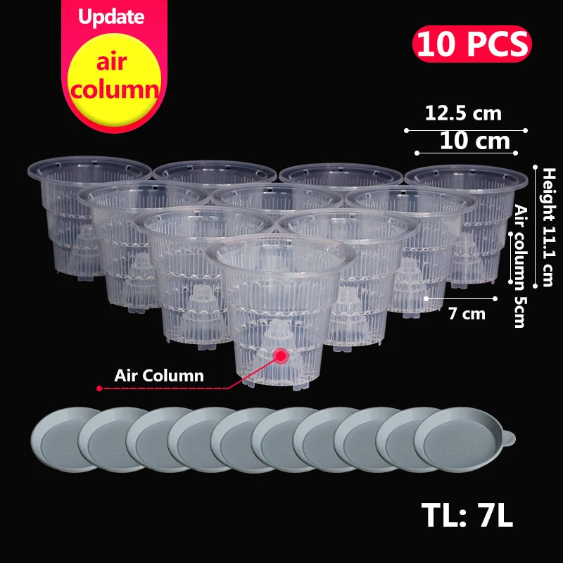 Pots plante transparents modernes perforés drainants 10cm fleur verteintérieur