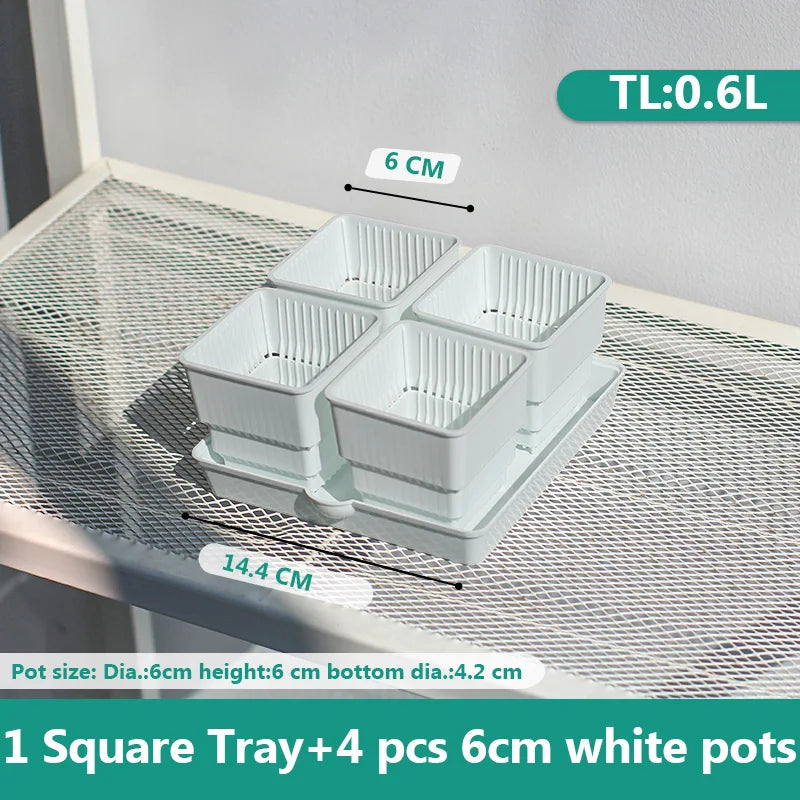 pots plastique blanc succulentes racines contrôle moderne perforations verticales jardin