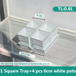 pots plastique blanc succulentes racines contrôle moderne perforations verticales jardin