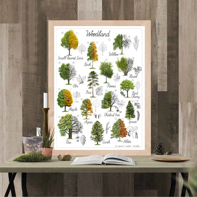 Affiche montrant diverses espèces d'arbres et de feuillages typiques des forêts, avec leurs noms inscrits au-dessous, sur un fond de bois.