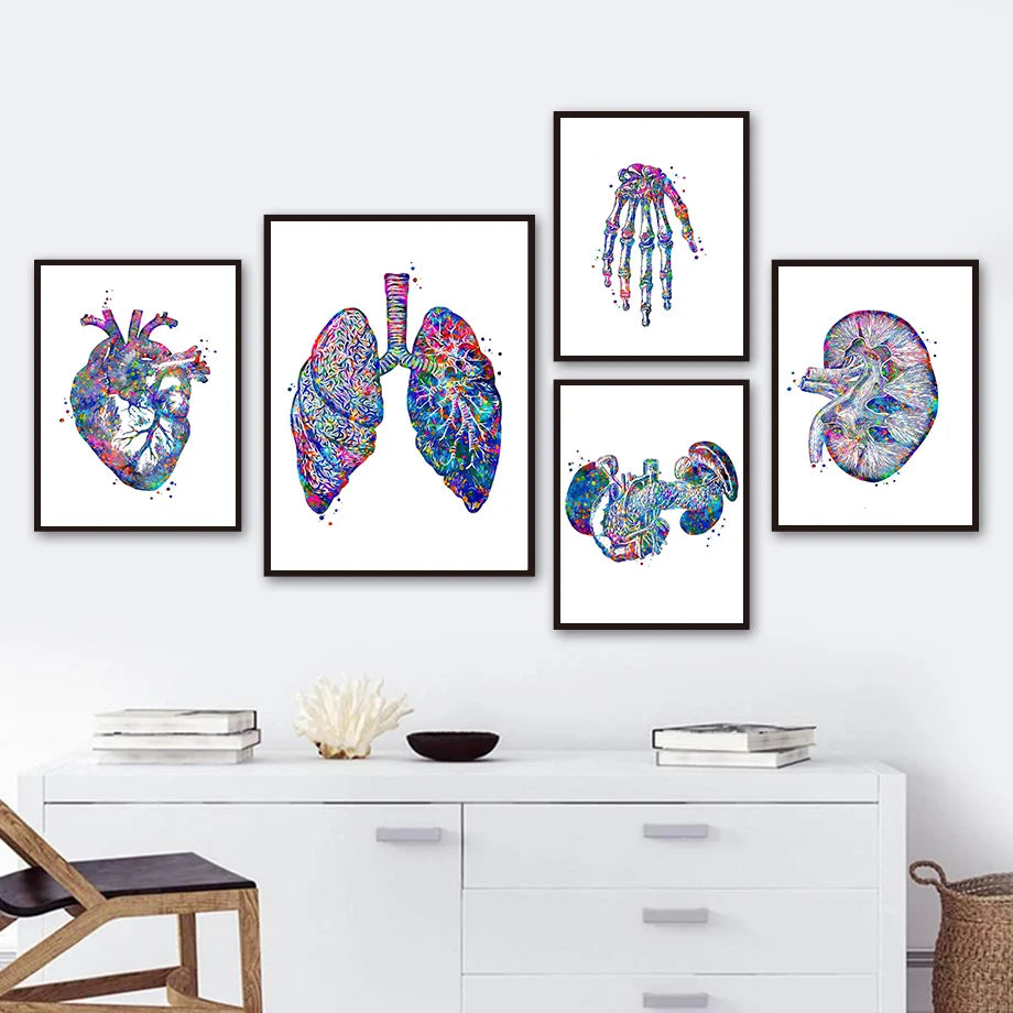 Affiches artistiques anatomiques en couleurs vives représentant le cœur, les poumons, les reins et le cerveau.