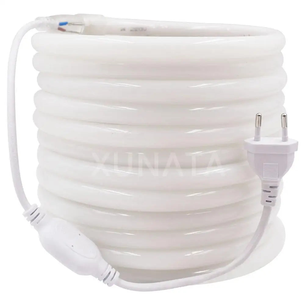 Détail de la bande lumineuse néon LED avec éclairage 360°