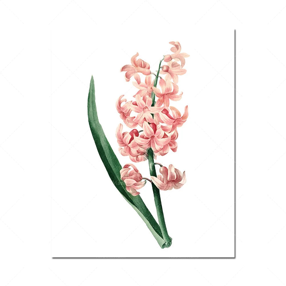 Une bouquet de fleurs de jacinthe rose.