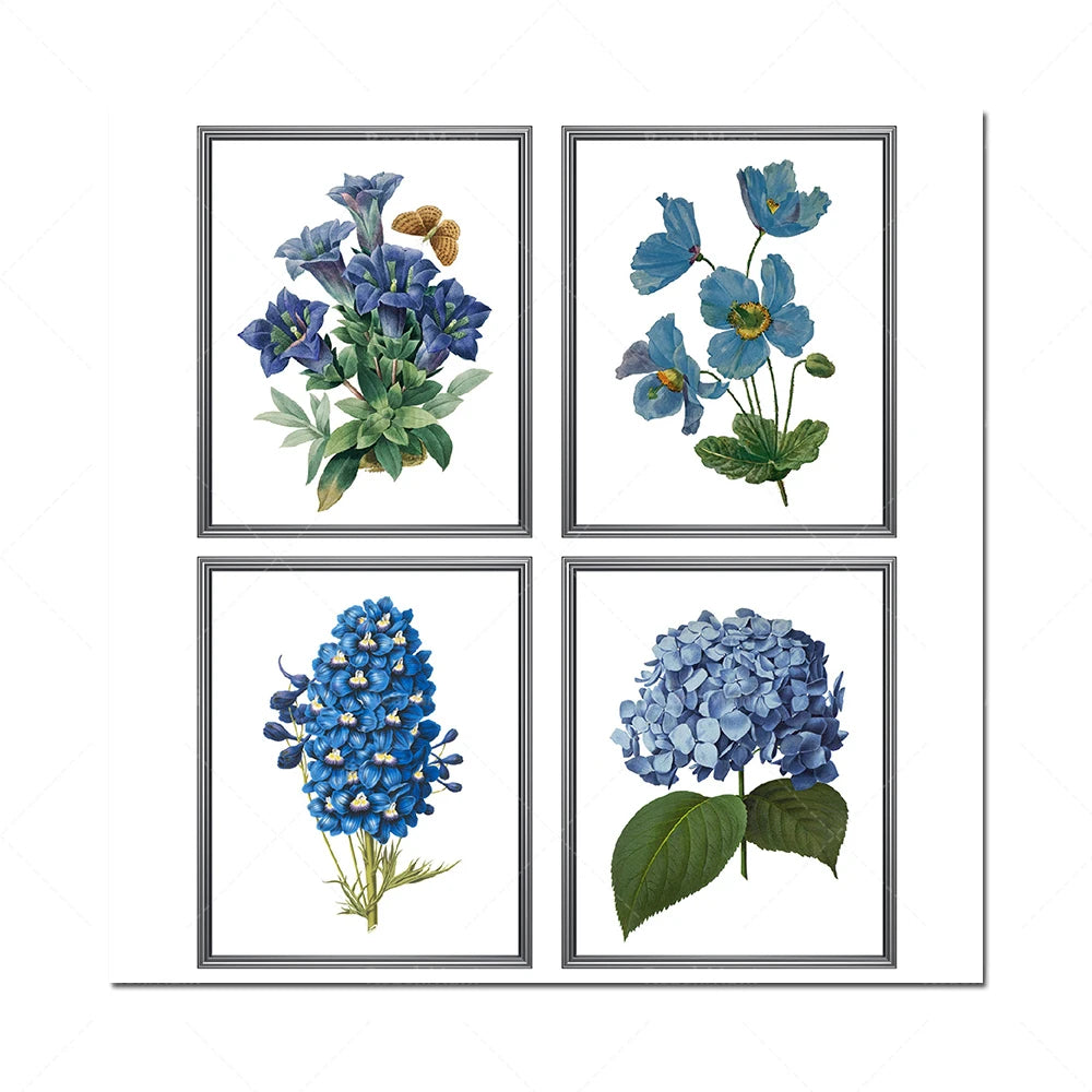 Quatre dessins en noir et blanc encadrés montrant de magnifiques fleurs bleues, y compris des primevères, des anémones et des hortensias.