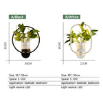 lampe murale moderne minimaliste noire blanche plante pot plastique transparent chambre salon entrée
