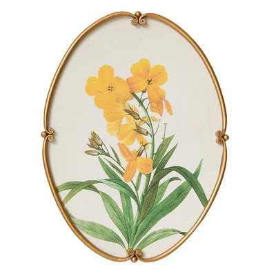 tableaux ovales vintage illustrés fleurs botaniques cadre doré élégantes décoration murale ancienne chambre salon