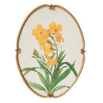 tableaux ovales vintage illustrés fleurs botaniques cadre doré élégantes décoration murale ancienne chambre salon