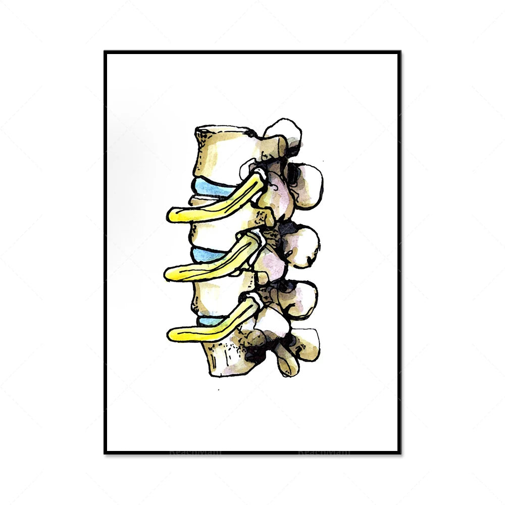 L'image montre un motif de lignes ondulées jaunes, bleues et noires, suggérant un motif abstrait ou organique.