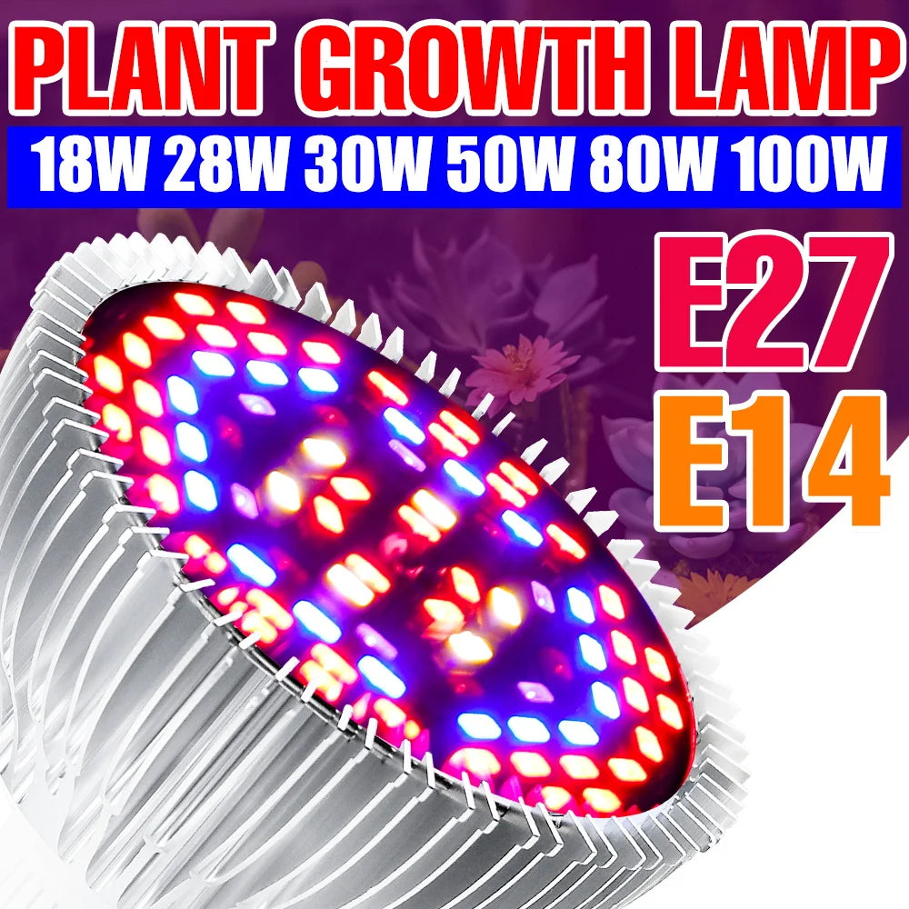 lampe croissance plantes led blanc rouge violet forme diamant moderne 50w 80w 100w e27