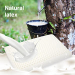 oreiller cervical ergonomique latex naturel mousse mémoire forme contemporain