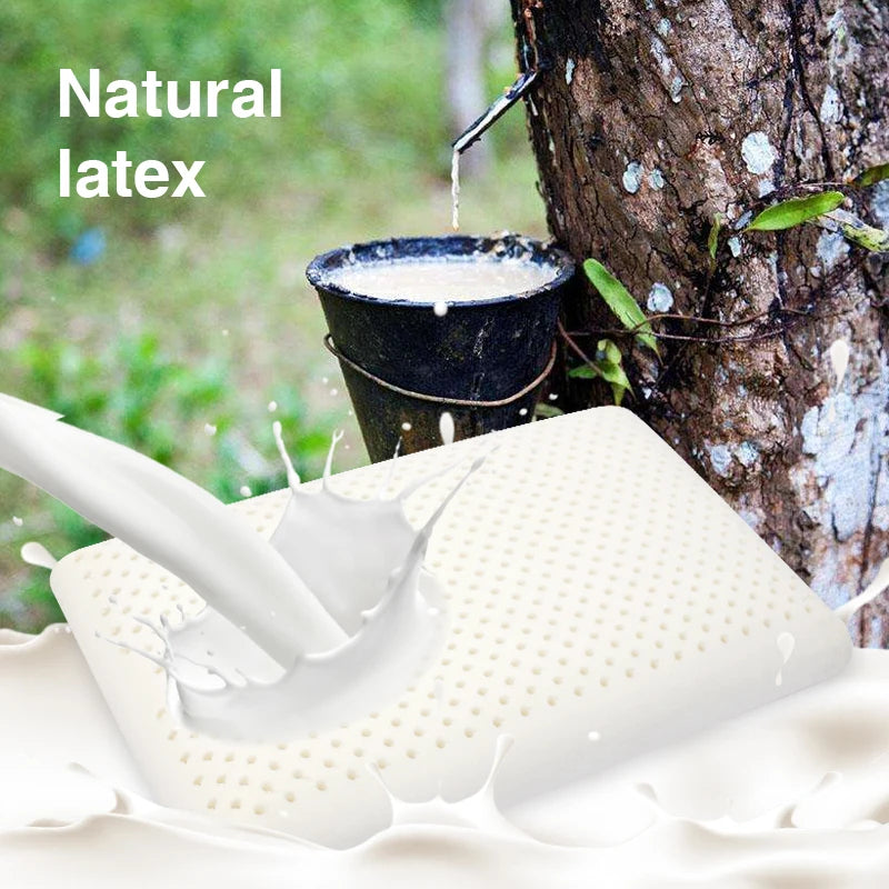 oreiller cervical ergonomique latex naturel mousse mémoire forme contemporain