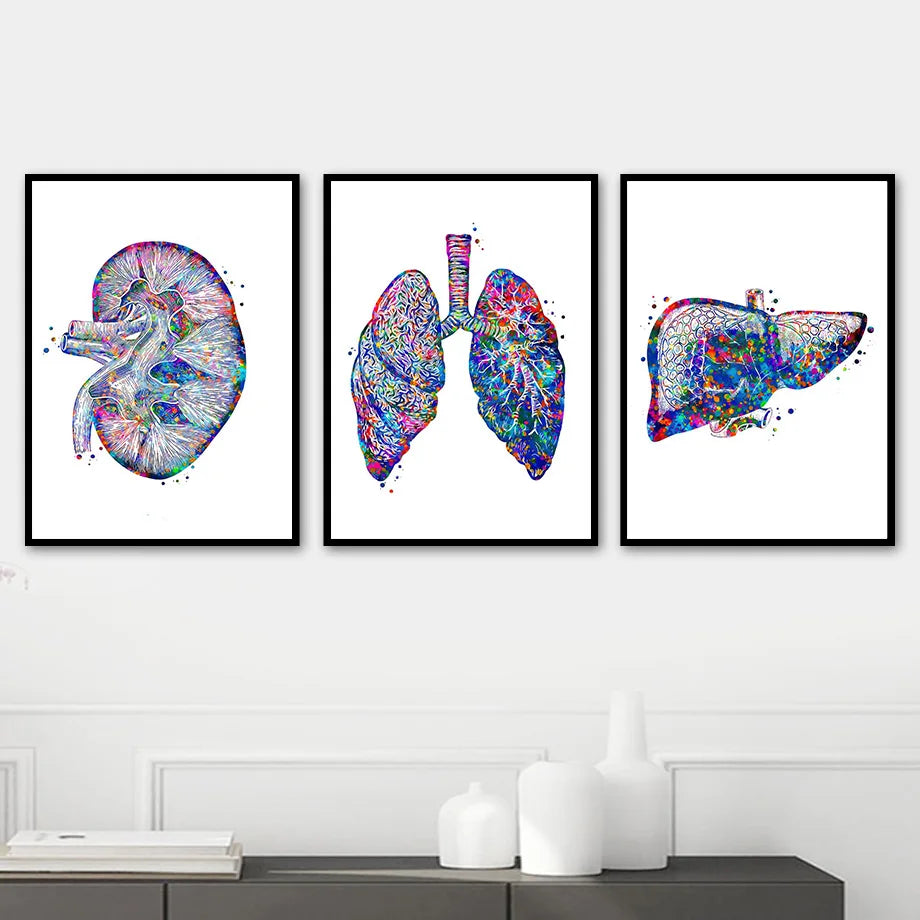 Illustration artistique de différents organes humains tels que le rein, les poumons et le foie, représentés avec des couleurs vives et dynamiques, créant une impression de beauté et de complexité du corps humain.