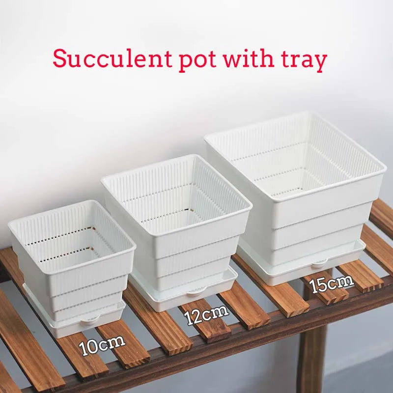 Pots succulentes blancs moderne rainures verticales drainage aération 10cm 12cm 15cm