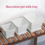 Pots succulentes blancs moderne rainures verticales drainage aération 10cm 12cm 15cm