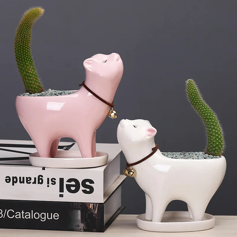 pots fleurs forme chat cactus rose blanc bleu clair détails yeux clochette collier cuir