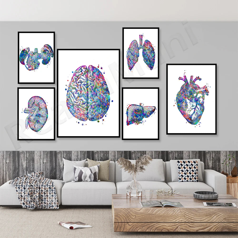 Ces images représentent de manière créative et colorée différents organes internes du corps humain, comme le cerveau, les poumons, le foie et le cœur.