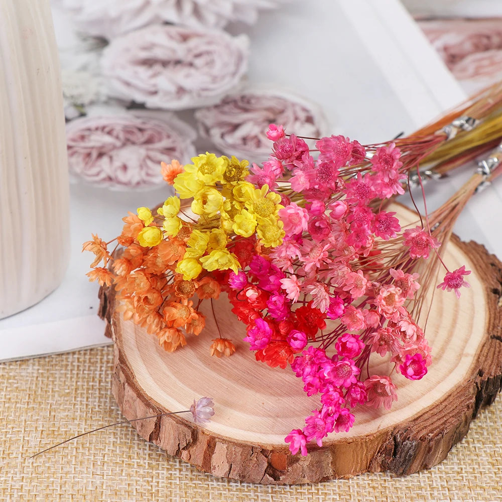 bouquet fleurs séchées multicolores petites marguerites naturelles décoration mariage maison rustique champêtre