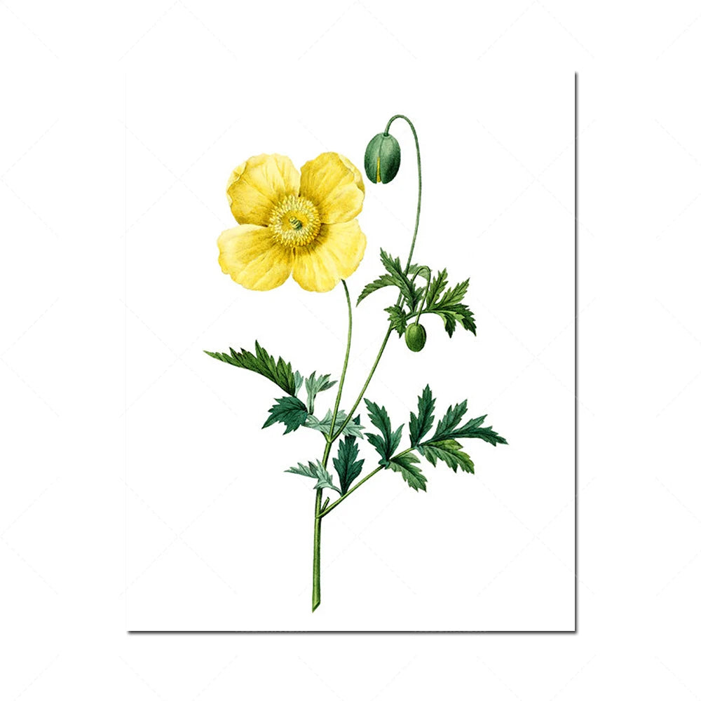 Cette illustration détaillée montre une plante à fleurs jaune vif avec de belles feuilles vertes et des boutons floraux. Ses pétales et son pistil sont finement dessinés, donnant une impression réaliste et élégante.