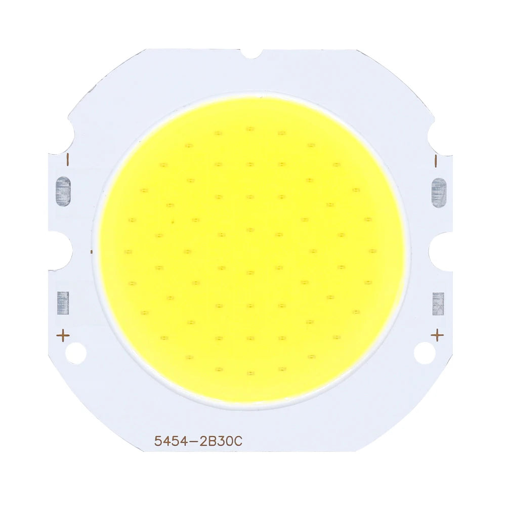 ampoule led cob 30w dc90 96v lumiere froide lumiere chaude 2500lm industrielle fixations