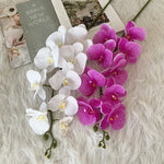 décoration intérieure orchidées artificielles blanc rose jaune feuilles vertes minimaliste mariage anniversaire baby shower