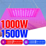 lampe croissance plante led violet rouge noir moderne 1000w 1500w eu us plug