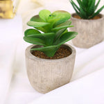 plantes succulentes artificielles vertes modernes mini bonsaï décoration maison feuilles pointues arrondies pot céramique