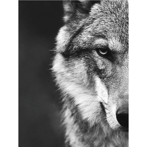 peinture toile loup réaliste sans cadre gris noir decoration maison chambre vertical