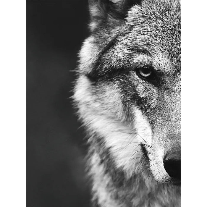 peinture toile loup réaliste sans cadre gris noir decoration maison chambre vertical