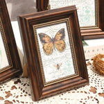 Cadre photo vintage rectangulaire résine marron foncé vert blanc papillon oiseau texte ancien décoration