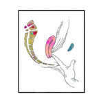 L'image montre une forme abstraite et colorée, avec des lignes ondulantes et des formes organiques qui évoquent un mouvement fluide et dynamique.