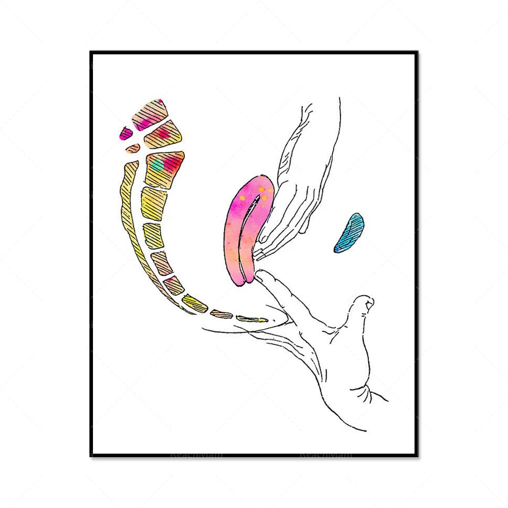 L'image montre une forme abstraite et colorée, avec des lignes ondulantes et des formes organiques qui évoquent un mouvement fluide et dynamique.