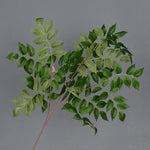 Bouquet artificiel feuilles simples moderne vase transparent hauteur 92cm rouge foncé vertclair blanc