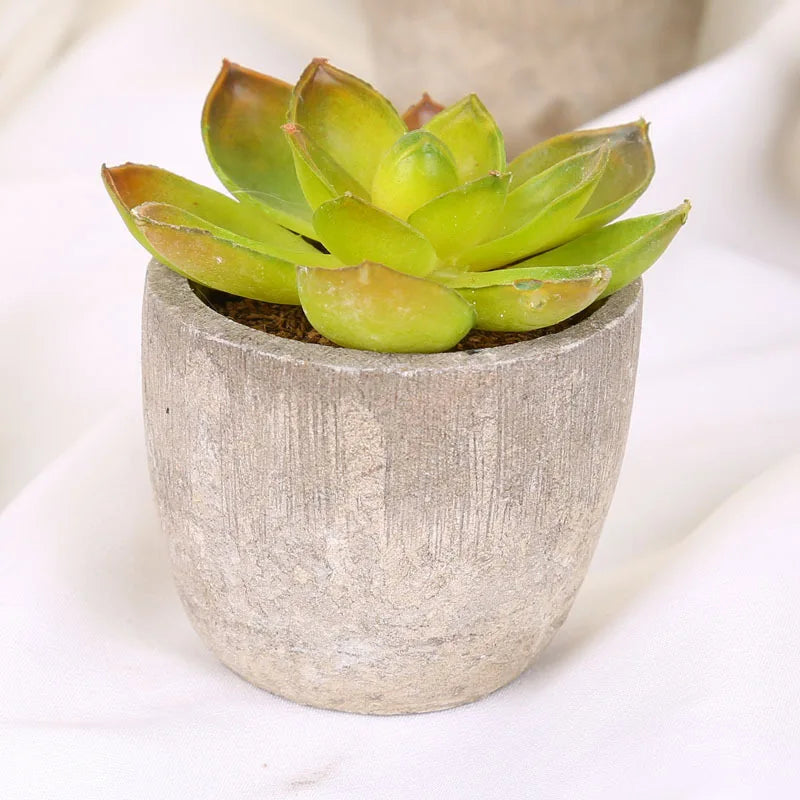 plantes succulentes artificielles vertes modernes mini bonsaï décoration maison feuilles pointues arrondies pot céramique