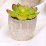 plantes succulentes artificielles vertes modernes mini bonsaï décoration maison feuilles pointues arrondies pot céramique