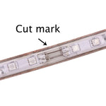 Comparaison des couleurs disponibles de la bande LED extérieure