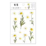 fleurs séchées décoratives naturelles adhésives transparentes variées sacs enfants papeterie mignonne