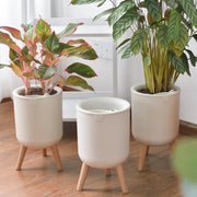 Pot de fleurs automatique avec niveau d'eau - Support bois moderne pour décoration intérieure et extérieure