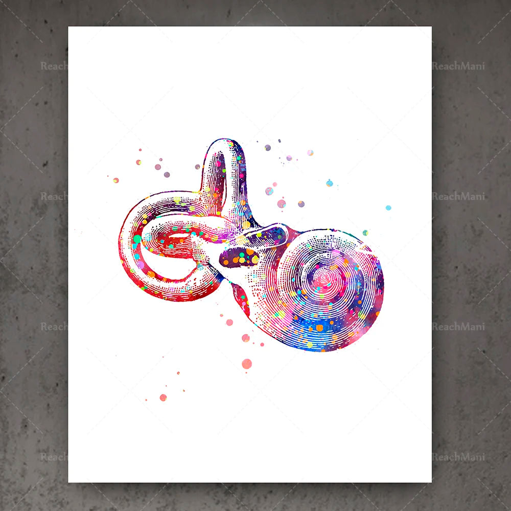 Une représentation colorée et abstraite de formes organiques, avec un motif radial et dynamique.