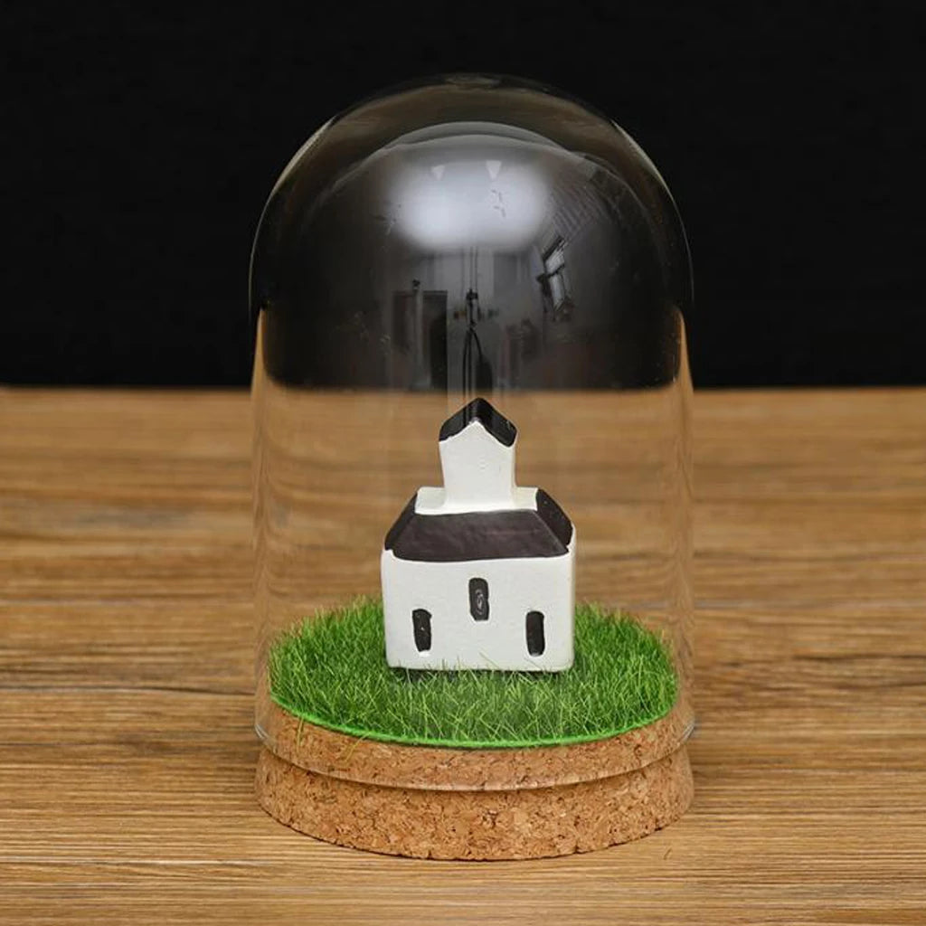 Terrarium en verre avec galets décoratifs à l'intérieur
